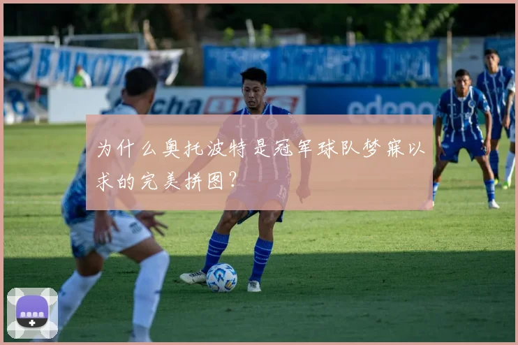 为什么奥托波特是冠军球队梦寐以求的完美拼图？