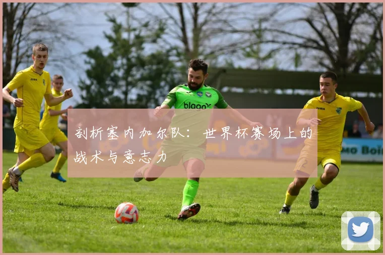 剖析塞内加尔队：世界杯赛场上的战术与意志力