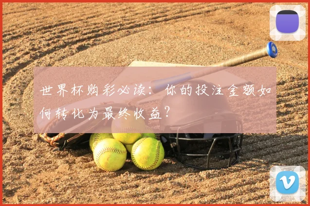 世界杯购彩必读：你的投注金额如何转化为最终收益？