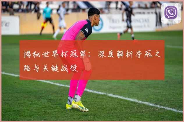 揭秘世界杯冠军：深度解析夺冠之路与关键战役