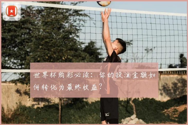 世界杯购彩必读：你的投注金额如何转化为最终收益？