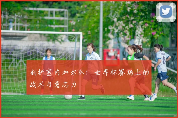 剖析塞内加尔队：世界杯赛场上的战术与意志力